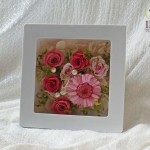 Thumbnail of post image 017