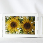 Thumbnail of post image 016