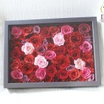 Thumbnail of post image 072