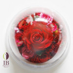 Thumbnail of post image 118