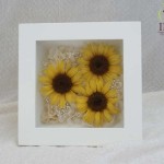 Thumbnail of post image 104