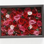 Thumbnail of post image 069