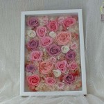 Thumbnail of post image 069