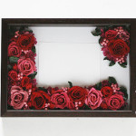 Thumbnail of post image 191