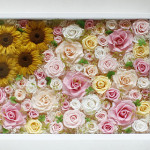 Thumbnail of post image 172