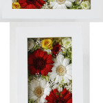 Thumbnail of post image 165