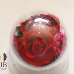 Thumbnail of post image 024