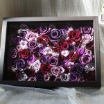 Thumbnail of post image 176