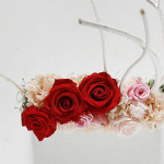 Thumbnail of post image 188