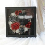 Thumbnail of post image 069