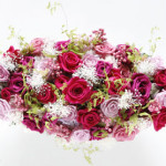 Thumbnail of post image 200