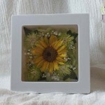 Thumbnail of post image 064