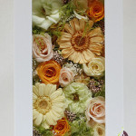 Thumbnail of post image 041