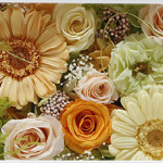 Thumbnail of post image 144