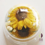 Thumbnail of post image 059