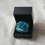 Thumbnail of post image 168