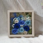 Thumbnail of post image 063