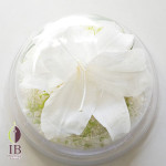 Thumbnail of post image 181