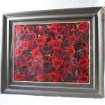 Thumbnail of post image 095