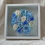 Thumbnail of post image 017