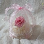 Thumbnail of post image 075