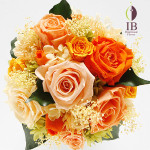 Thumbnail of post image 100