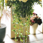 Thumbnail of post image 085