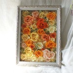 Thumbnail of post image 103