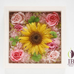 Thumbnail of post image 055