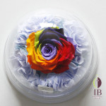 Thumbnail of post image 086