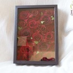 Thumbnail of post image 056