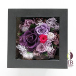 Thumbnail of post image 004