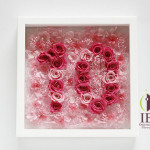 Thumbnail of post image 051