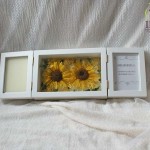 Thumbnail of post image 188