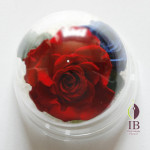 Thumbnail of post image 194