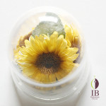 Thumbnail of post image 112