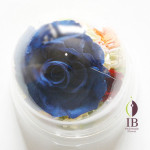 Thumbnail of post image 028