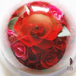 Thumbnail of post image 161