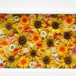 Thumbnail of post image 007