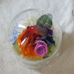 Thumbnail of post image 091