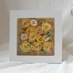 Thumbnail of post image 017