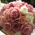 Thumbnail of post image 050