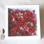 Thumbnail of post image 176