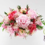 Thumbnail of post image 182