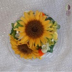 Thumbnail of post image 036