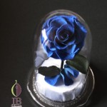 Thumbnail of post image 080