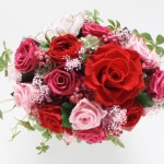 Thumbnail of post image 082