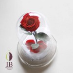 Thumbnail of post image 176