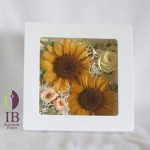 Thumbnail of post image 020