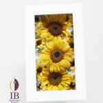 Thumbnail of post image 029